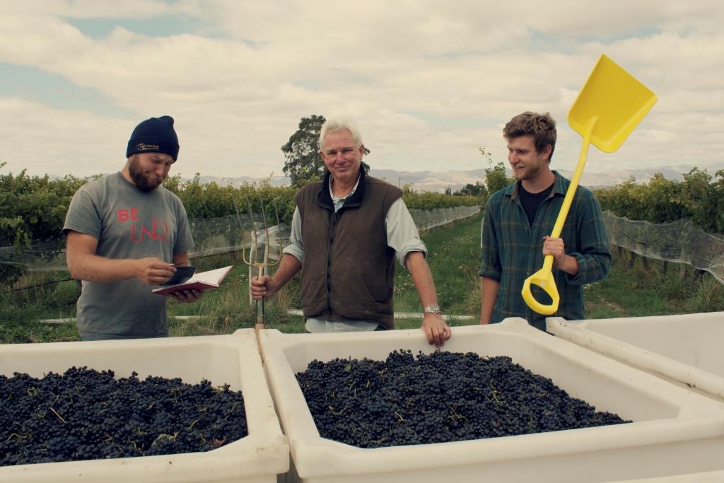 Mike with spade and grapes at harvest SMALLER