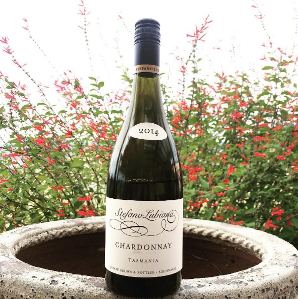 Chardy 2014 Estate