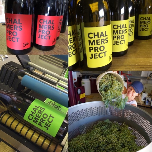 project-wine-montage